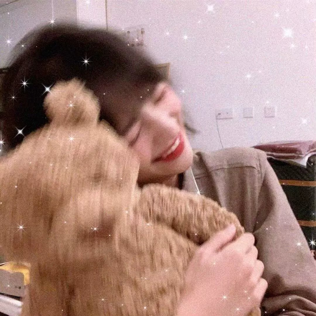 纸房子：全球热潮